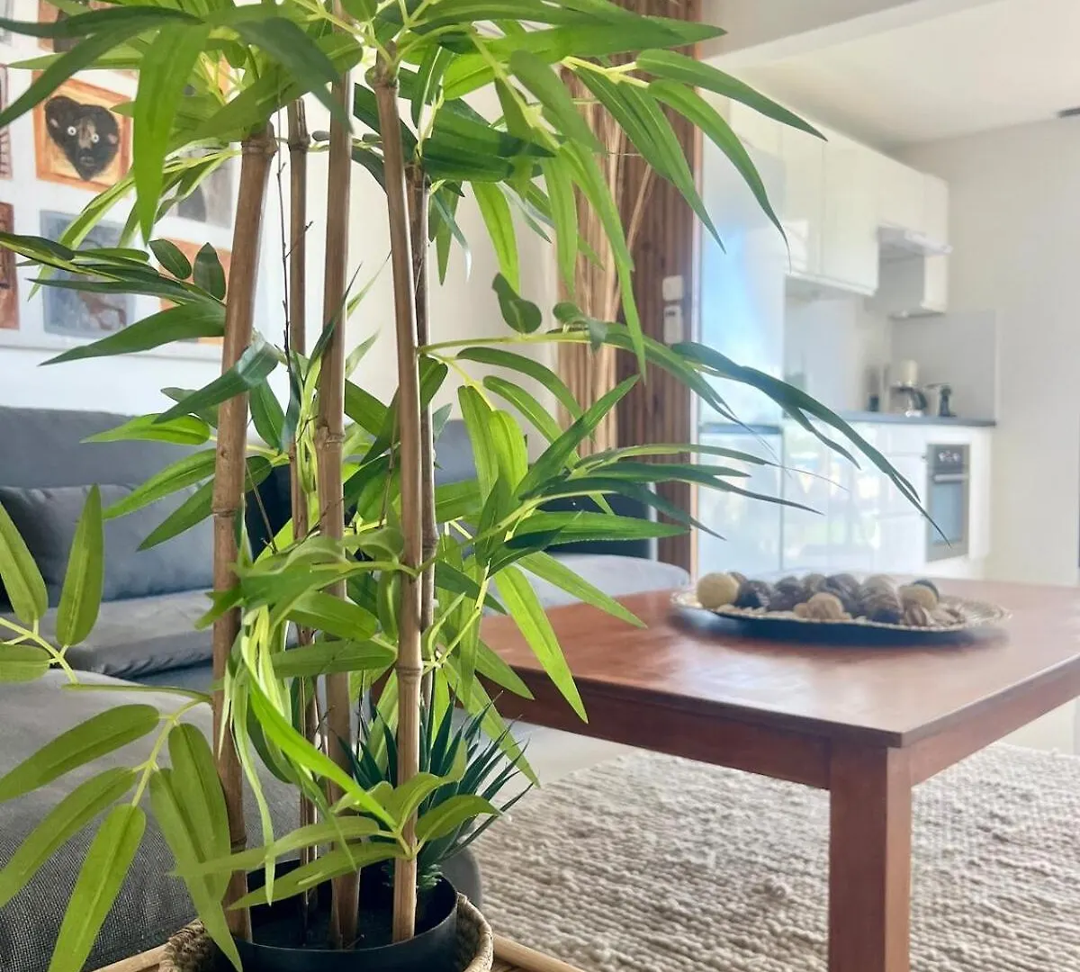Coconut 1 Room Beautiful View Baie Nettle 0*,